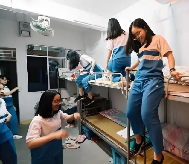 开发与使用在实践教育课程开发教育改革教师展开文明建造等 开发与使用在实践教育课程开发教育改革教师展开文明建造等